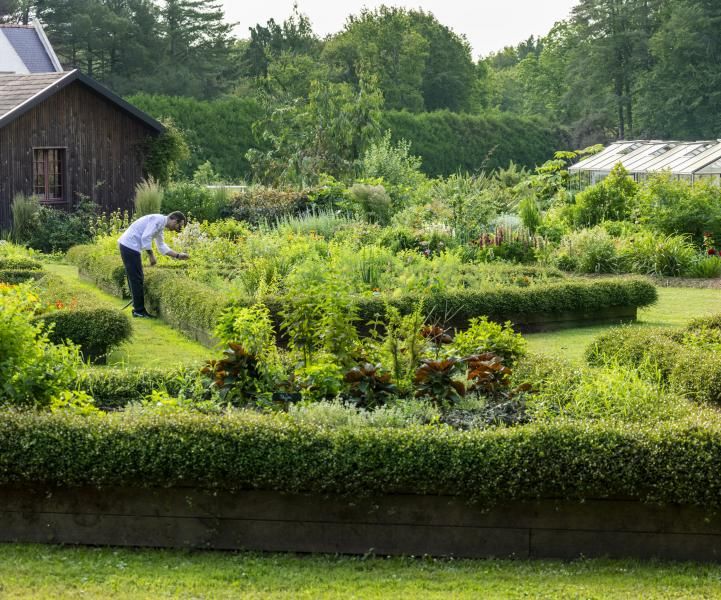 Cottages de la Bretesche - Potager