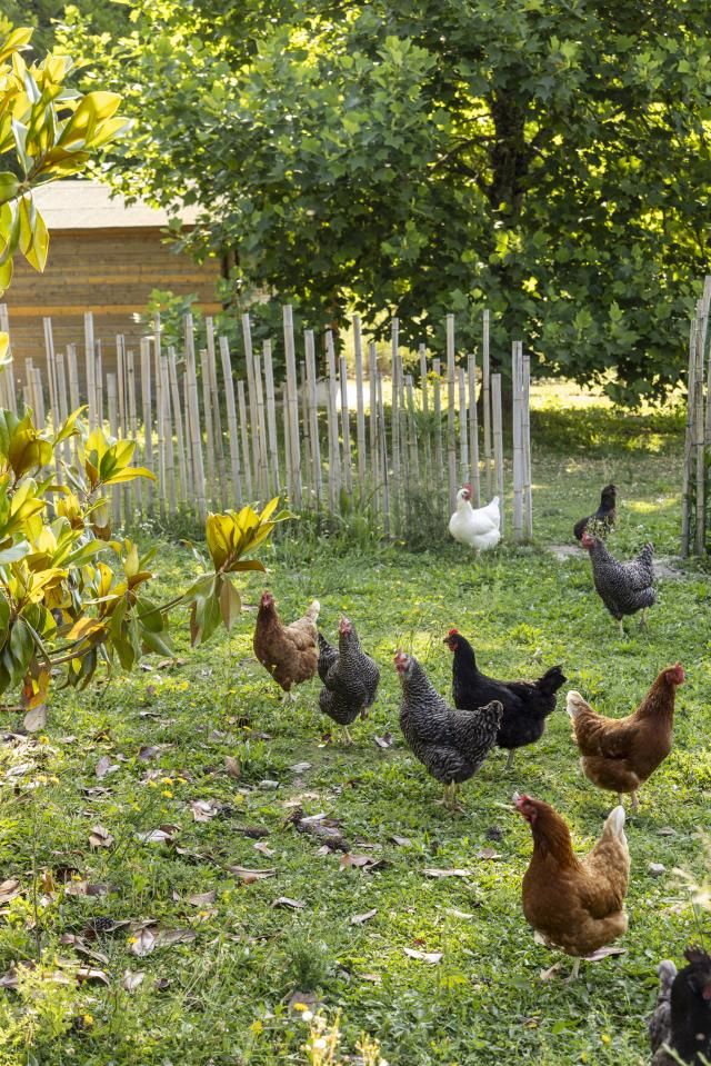 Cottages de la Bretesche - Potager